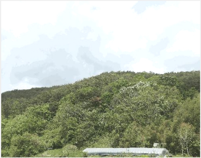 �� 9-���ֽ� ������ ������-��