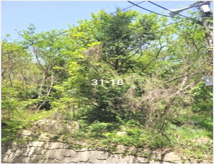 �Ӿ� 8-���屺 ����� ��õ��-�Ӿ�