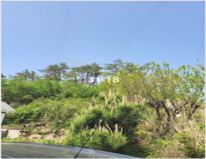 �Ӿ� 5-���屺 ����� ��õ��-�Ӿ�