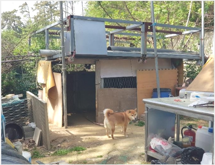 �Ӿ� 7-���屺 ����� ��õ��-�Ӿ�