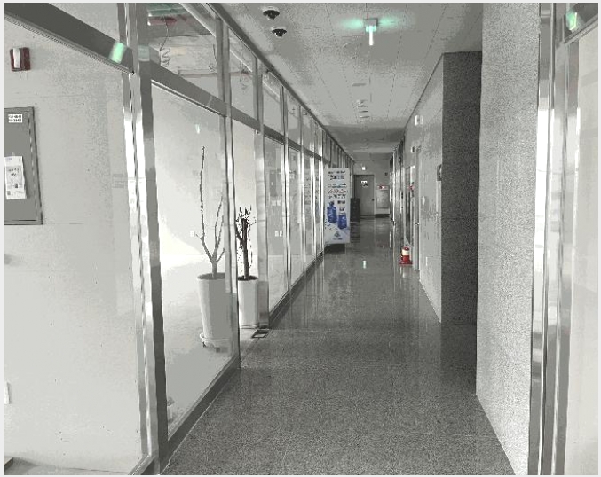 �ٸ��� 8-������ �Ǽ��� ȣ�Žǵ�-�ٸ���