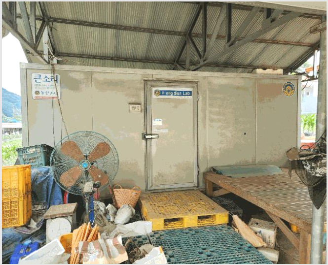 �Ӿ� 5-���걺 ������ ������-�Ӿ�