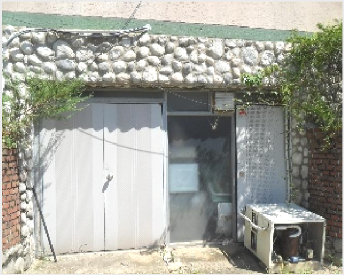 �ٸ����� 9-�¾ȱ� �¾��� ������-�ٸ�����