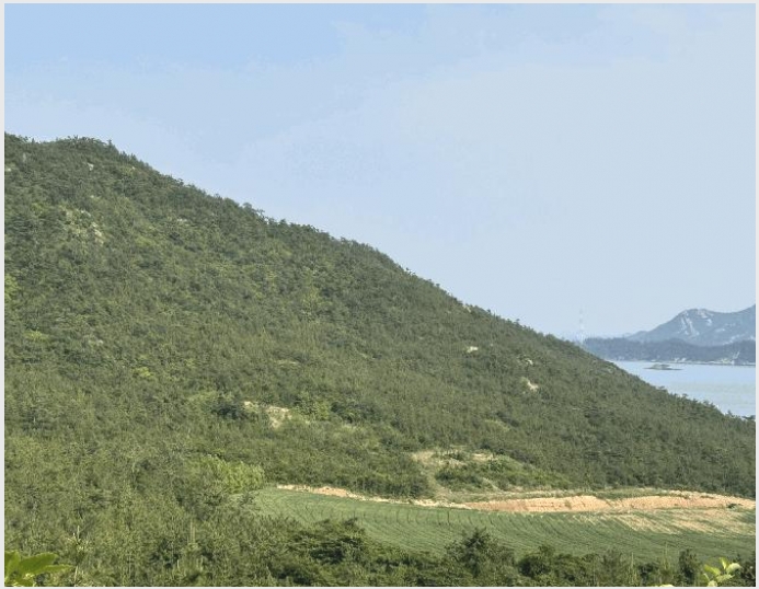 �Ӿ� 8-�žȱ� ���ʸ� ������-�Ӿ�