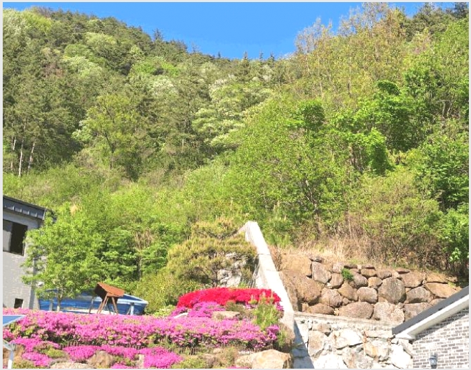 �Ӿ� 4-��õ�� ������ ��178-1-�Ӿ�