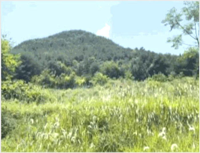 �� 10-���ﱺ ���ϸ� ��渮-��