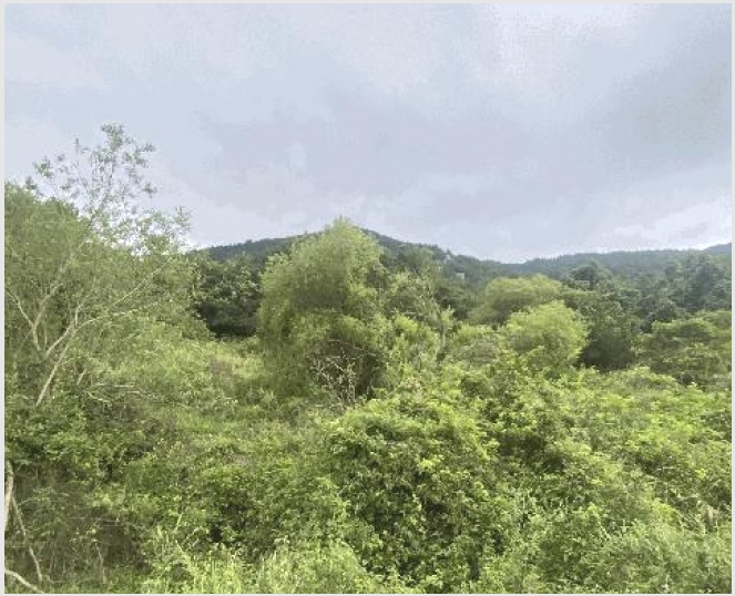 �� 8-�ϵ��� ���� ��θ�-��