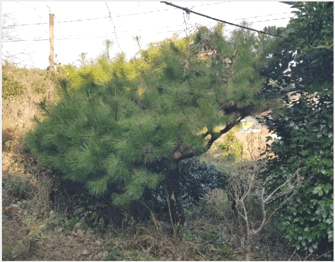 �Ӿ� 9-�ϵ��� �ϵ��� ���븮-�Ӿ�