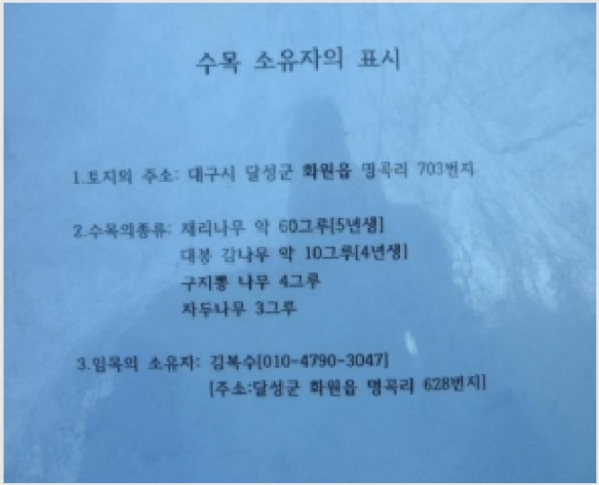 �� 9-�޼��� ȭ���� ���-��
