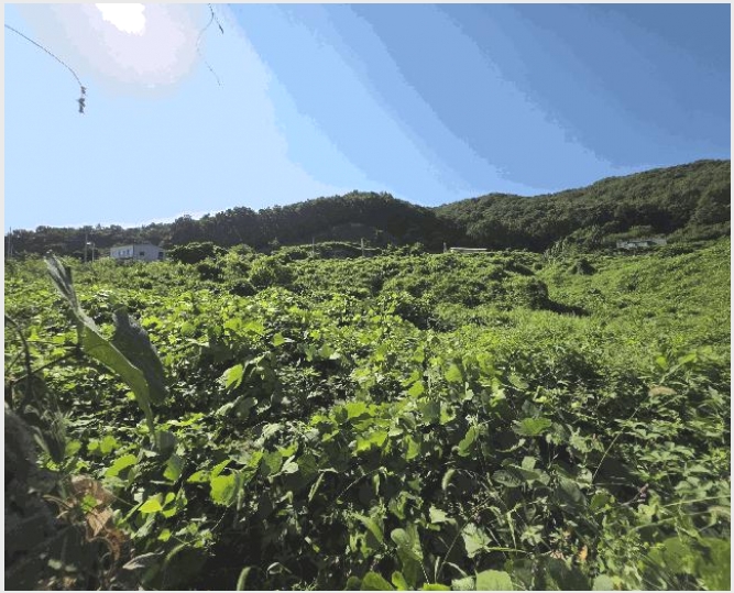 �� 7-������ �Ｚ�� �뼺��-��