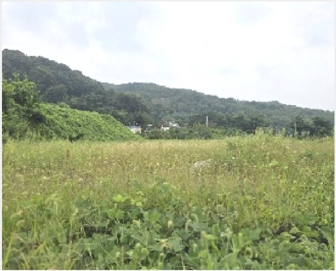 �� 4-������ �Ｚ�� �뼺��-��
