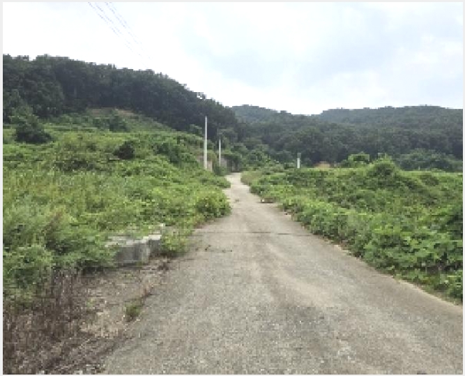 �� 10-������ �Ｚ�� �뼺��-��