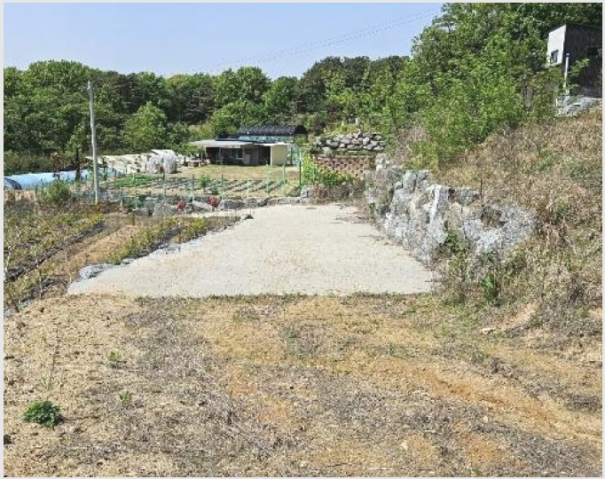 �� 8-�屺�� ���ȸ� 246-20-��