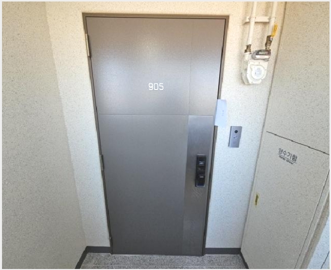 ����Ʈ 5-��籸 ��� 230-����Ʈ