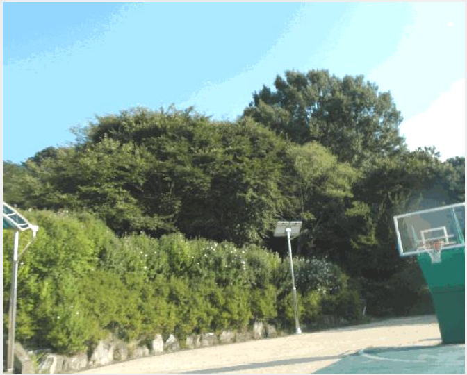 �Ӿ� 8-���� ����� ���縮-�Ӿ�