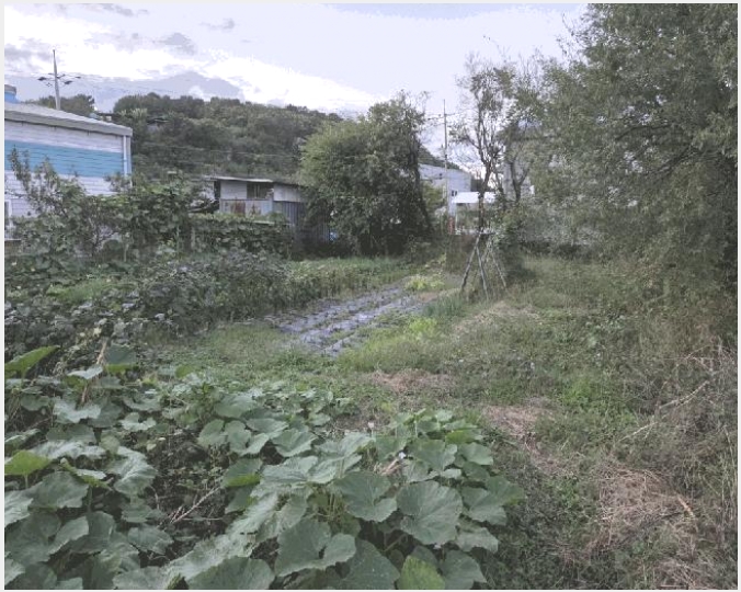 ���� 8-���� �л굿 987-����