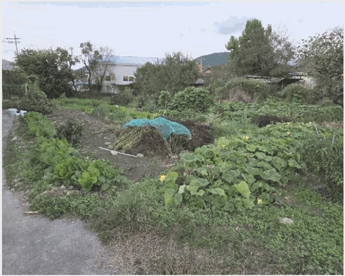 ���� 10-���� �л굿 987-����