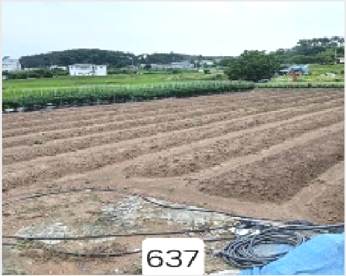 �� 9-���屺 �ϱ��� ���߸�-��
