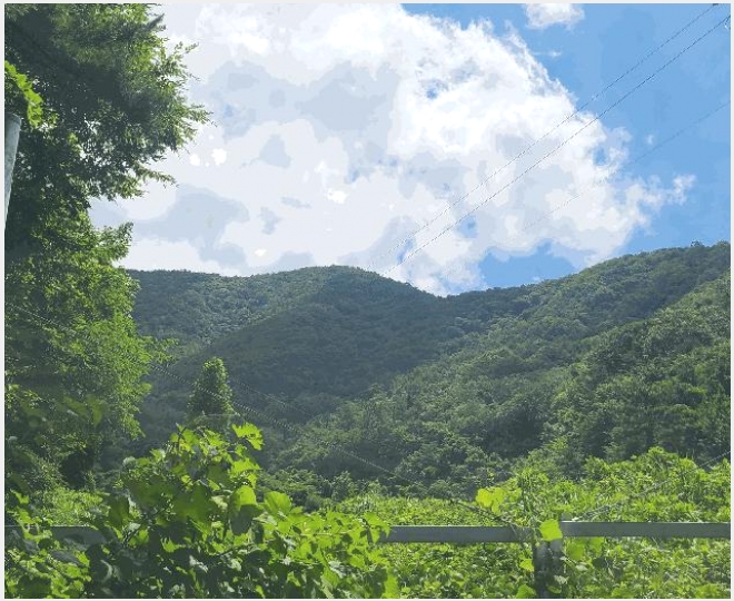 �Ӿ� 6-â���� ���������� ���ϸ�-�Ӿ�