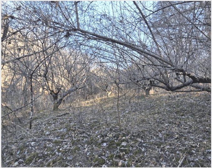 �� 9-���ʱ� �굿�� ž����-��