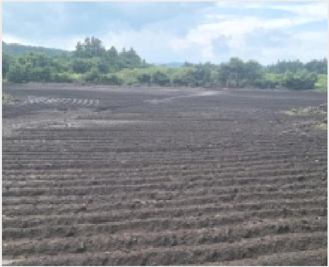 �Ӿ� 9-�������� ������ ��޸�-�Ӿ�