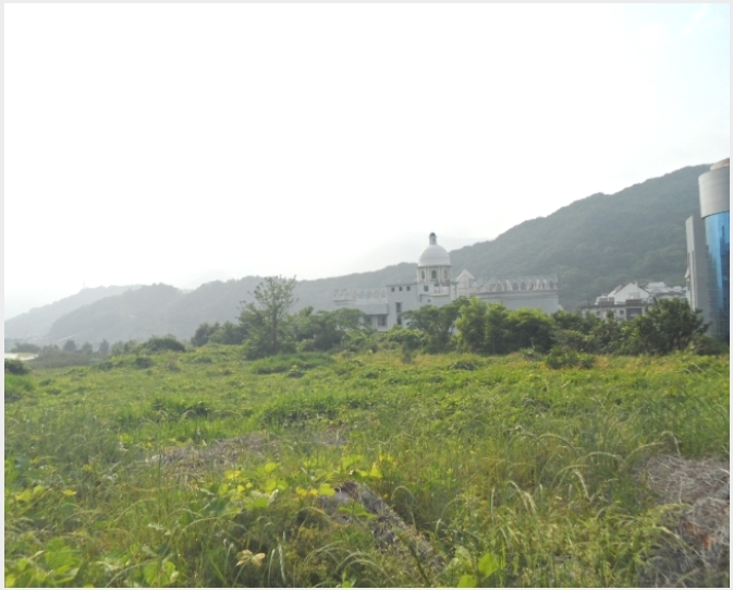 �ܵ�(ȣ��) 7-���ʱ� �굿�� ���긮-�ܵ�(ȣ��)