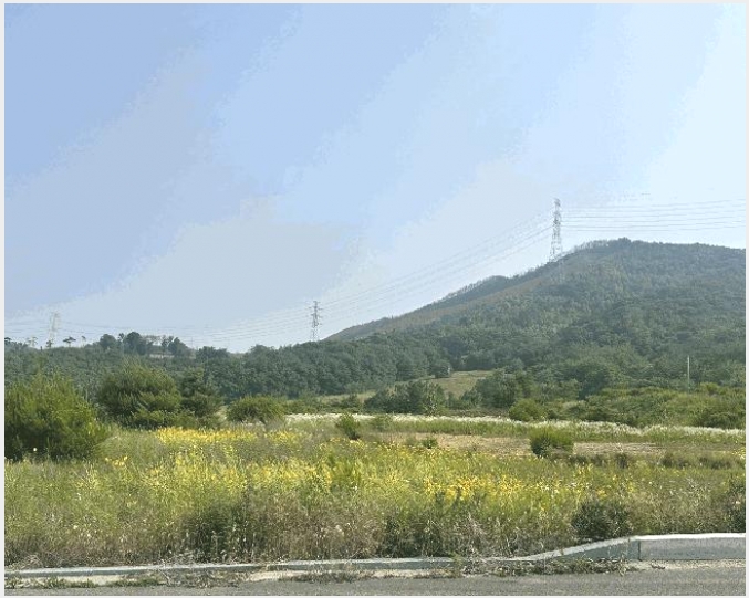 �Ӿ� 8-����� ���� ���긮-�Ӿ�