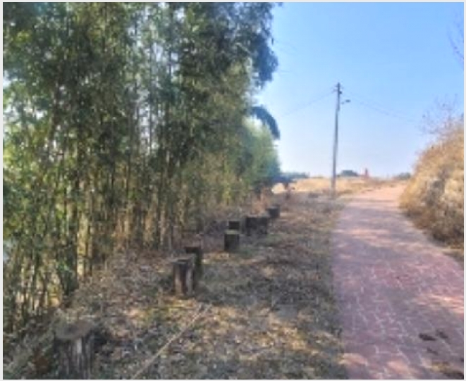 ���� 7-�Ծȱ� ������ ���ָ�-����