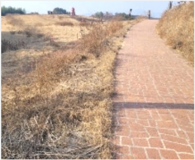 ���� 5-�Ծȱ� ������ ���ָ�-����