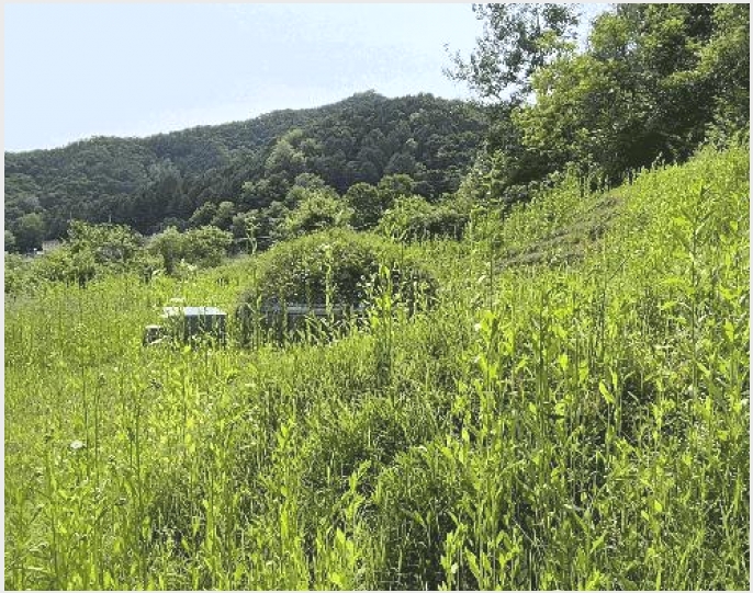 �� 7-ȭõ�� �󼭸� �뵿��-��
