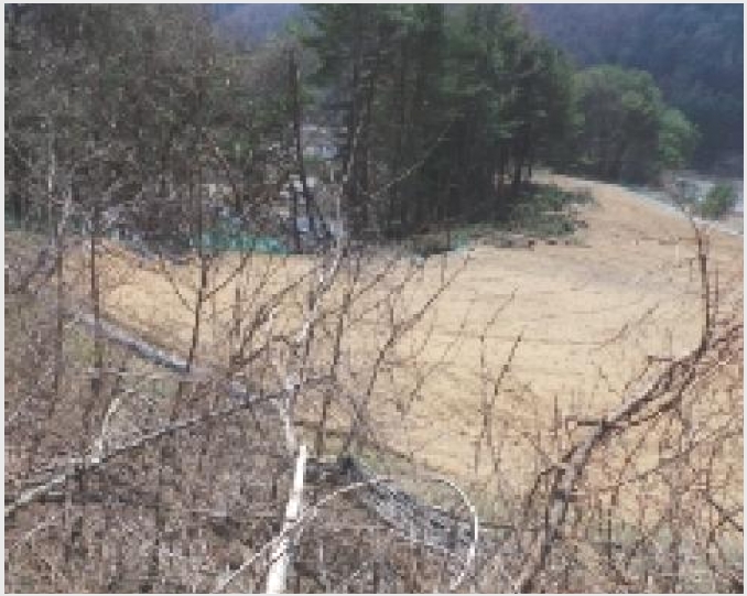 �� 9-��â�� ����� ��¸�-��