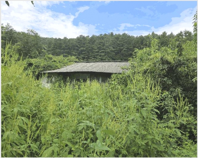 �� 10-������ ��ܸ� ��븮-��