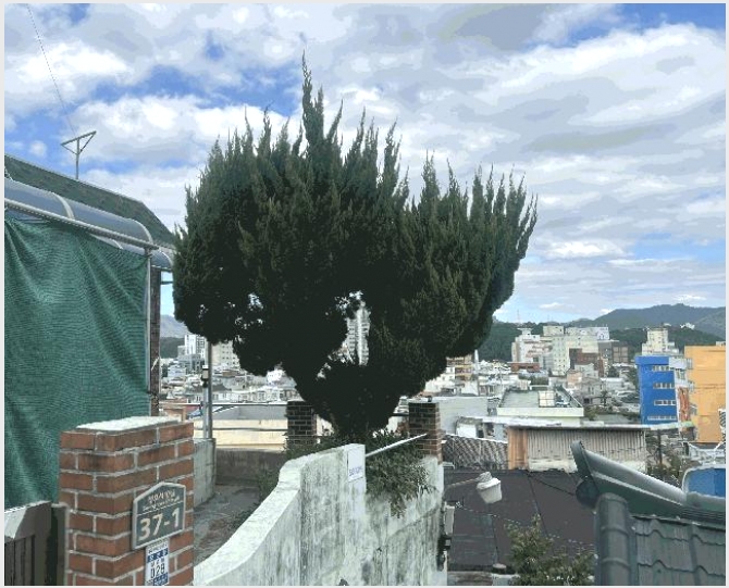 �ܵ����� 6-â���� ���������� ��ȣ��-�ܵ�����