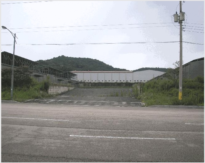 ���� 6-������ �븶�� ���׸�-����
