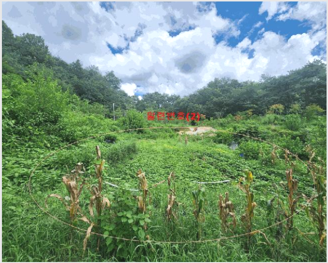�Ӿ� 8-����� ���籸 ��ε�-�Ӿ�