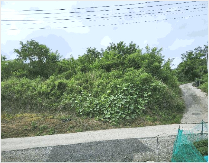 �Ӿ� 4-���̽� �굿�� ���-�Ӿ�