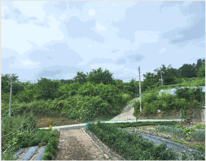 �Ӿ� 7-���̽� �굿�� ���-�Ӿ�