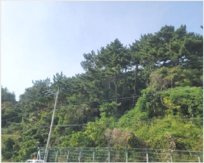 �Ӿ� 4-�뿵�� ����� ���-�Ӿ�
