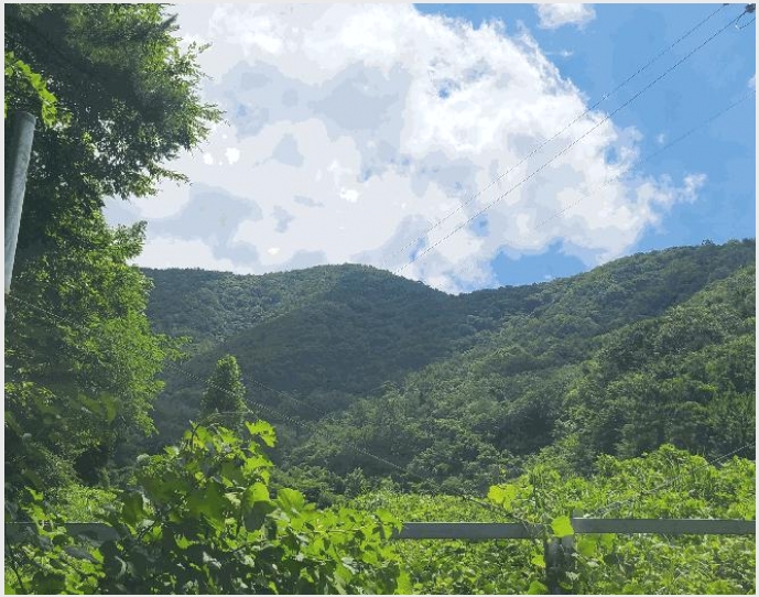 �Ӿ� 10-â���� ���������� ���ϸ�-�Ӿ�