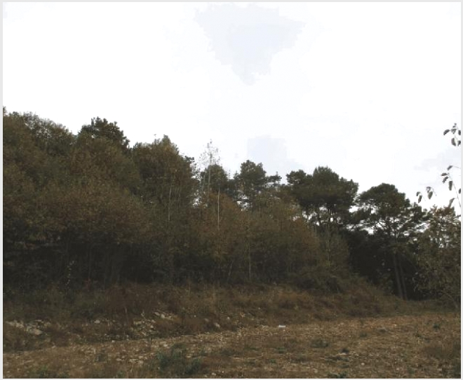 �� 8-ȭ���� ������ ���ϸ�-��