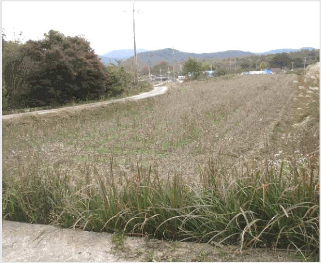 �� 5-ȭ���� ������ ���ϸ�-��