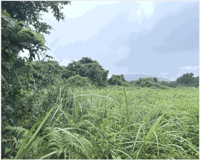 �Ӿ� 5-�������� ������ ��޸�-�Ӿ�
