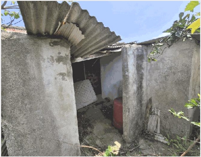 ���� 5-�������� ǥ���� ��ȭ��-����