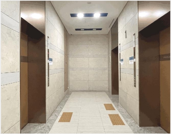 �ٸ��� 5-����� ���籸 ���ﵿ-�ٸ���