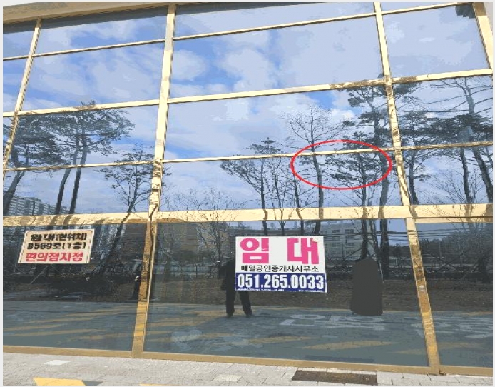�ٸ��� 9-���ϱ� �ٴ뵿 96-2-�ٸ���