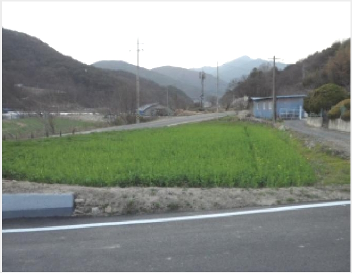 �� 5-���ɱ� ����� �鸮-��