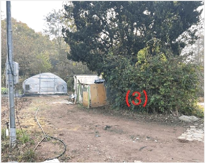 ���� 10-������ ������ �Ű-����