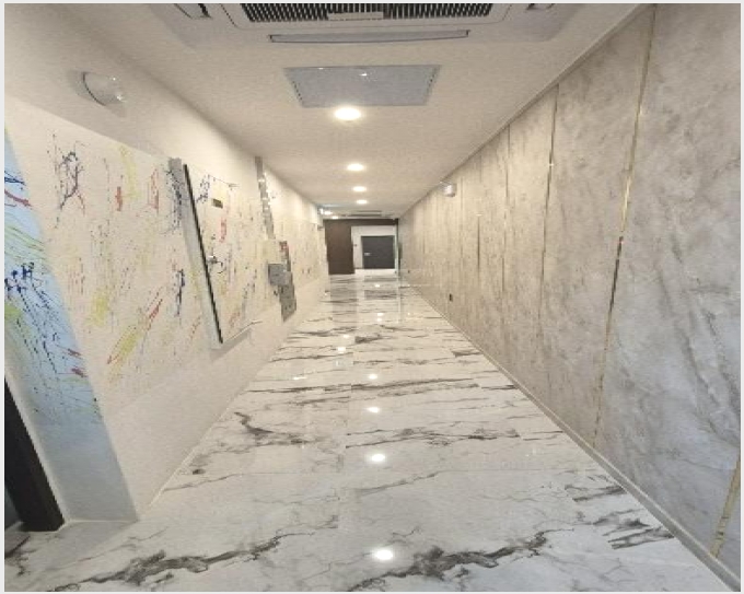 �ٸ��� 7-������ �Ǽ��� ȣ�Žǵ�-�ٸ���