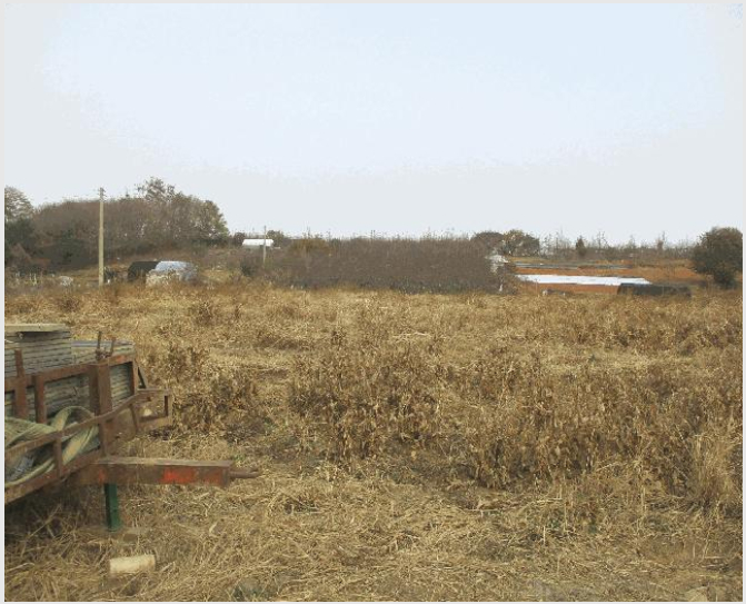 �� 10-���ý� �׹鵿 403-��