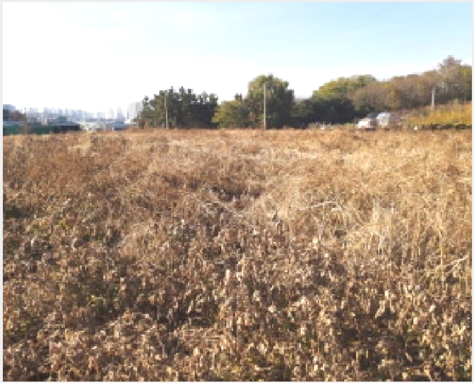 �� 8-���ý� �׹鵿 403-��